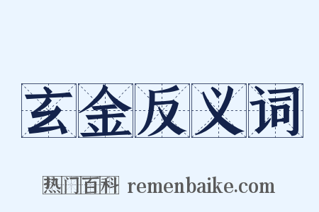玄金反义词是什么意思的图片